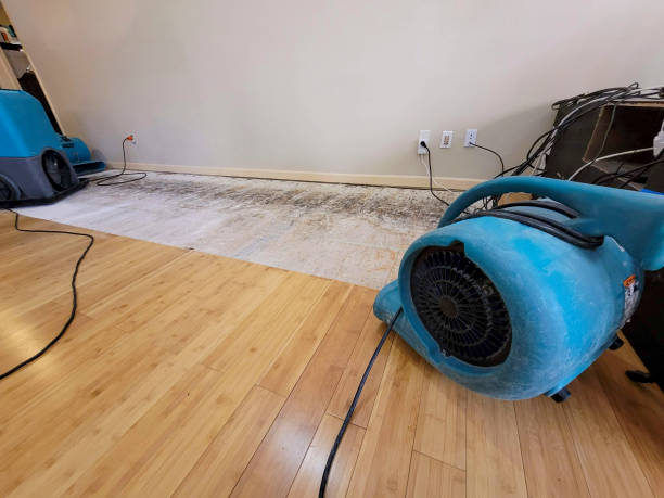 Professional Water Damage Repair technician working in Little River, AL